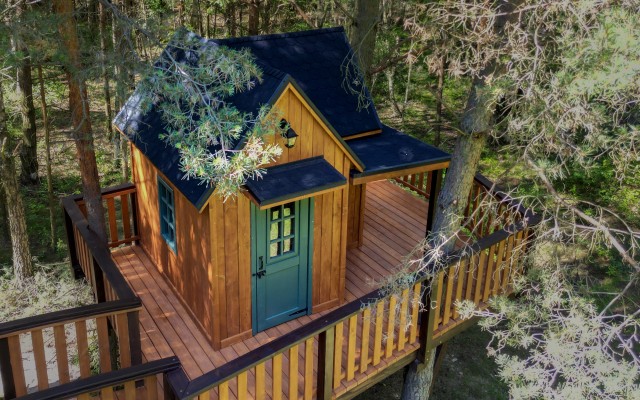 Drewniany domek na drzewie w sercu natury – realizacja w okolicach Płocka