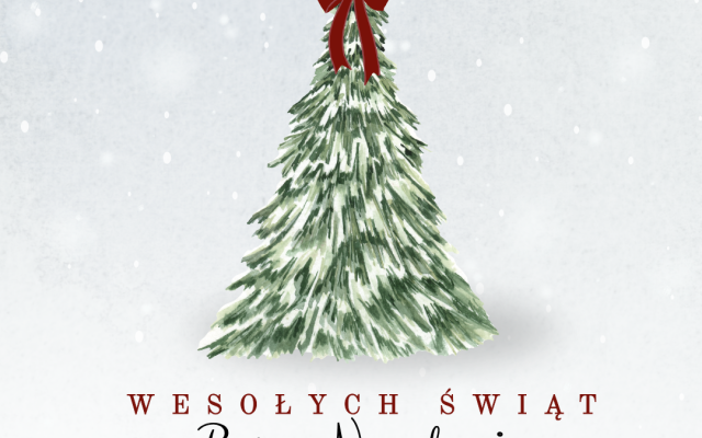 Święta Bożego Narodzenia mają w sobie coś wyjątkowego.