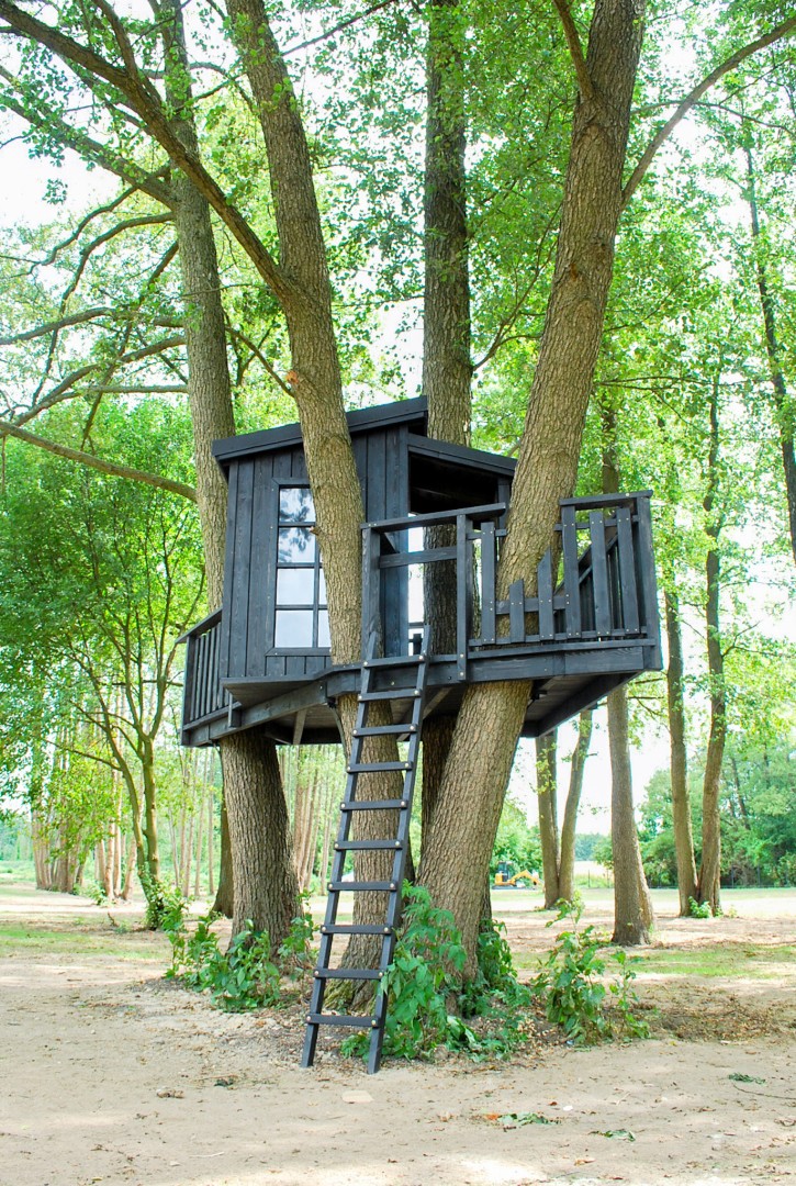domek na drzewie dopasowany do otoczenia