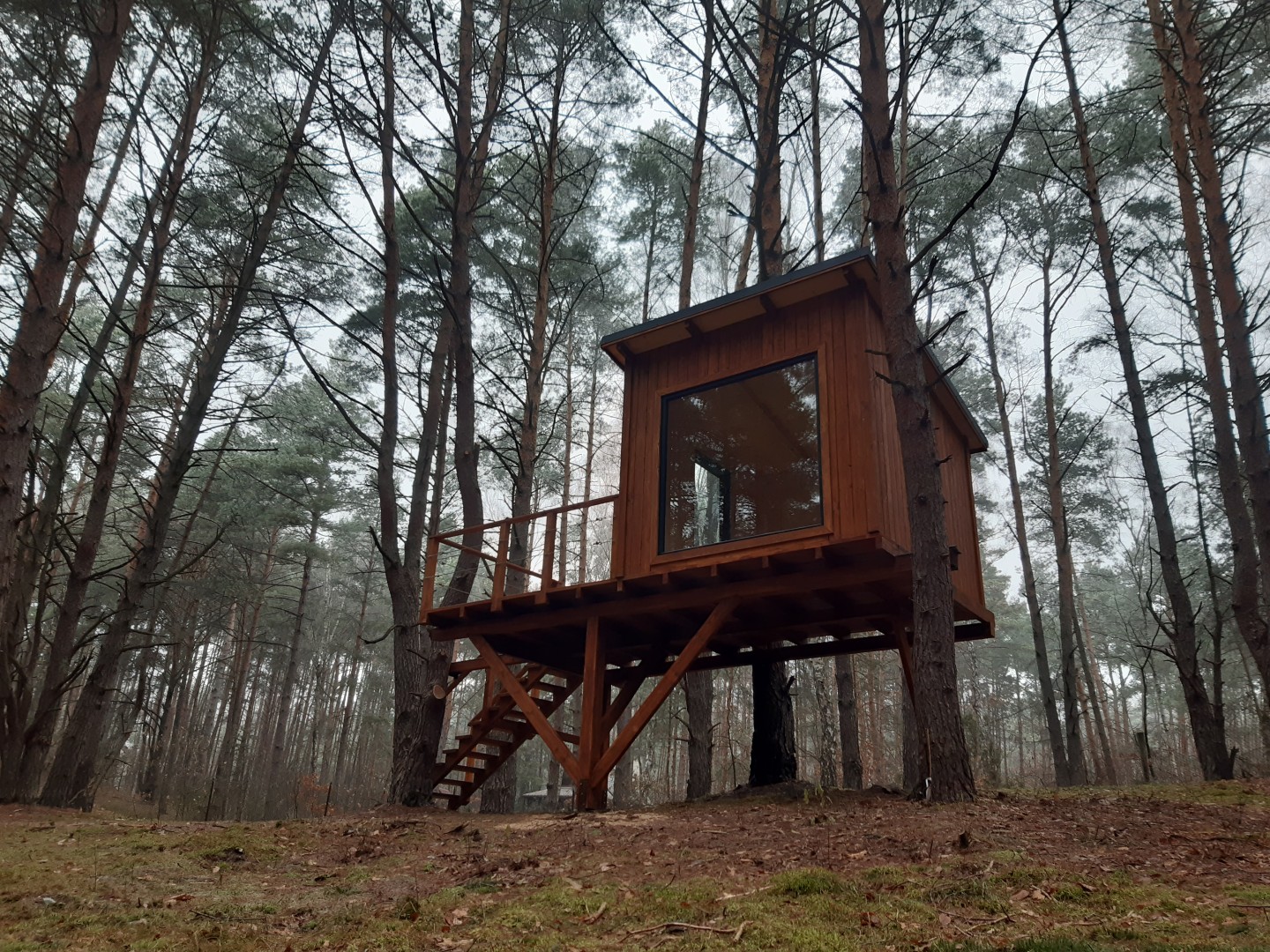 domek na dzrewie jako biuro ogrodowe