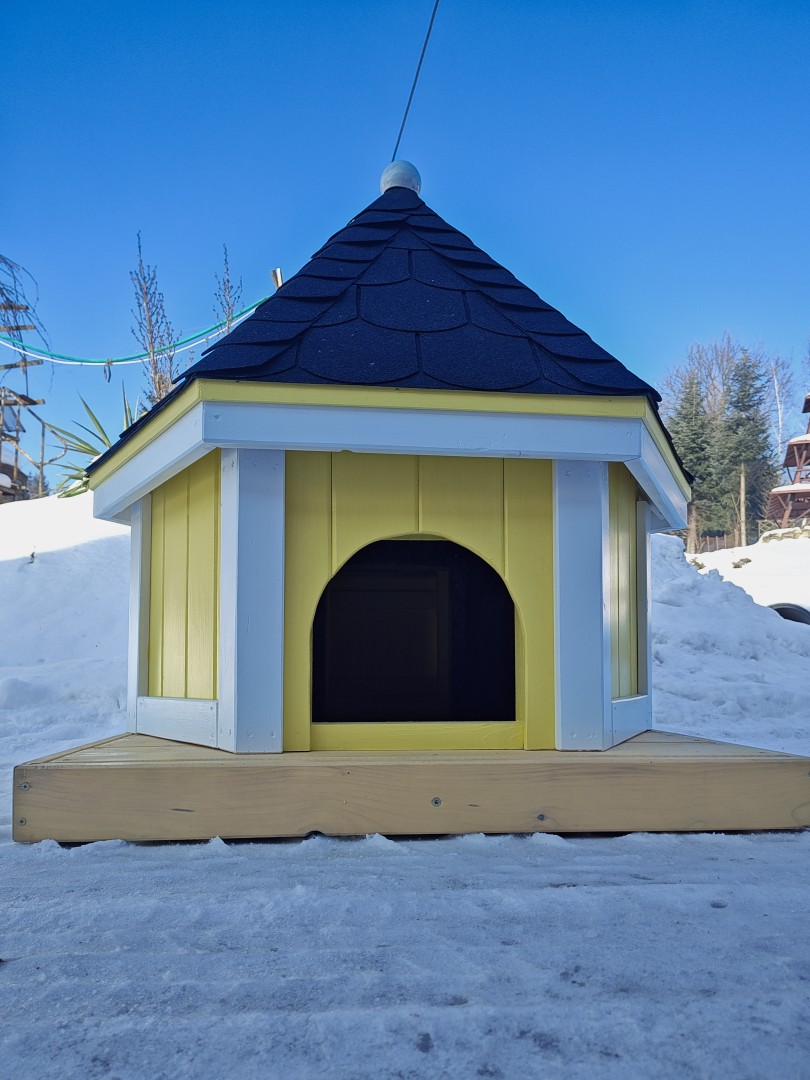 domek dla kaczek 04 kolorowy (13).jpg