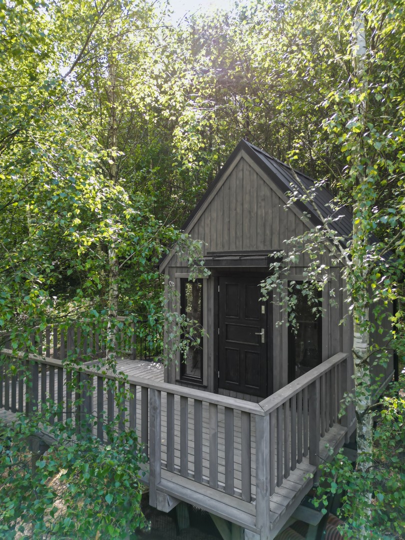 Domek na drzewie #17