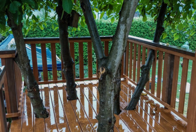 domek na drzewie 18 z placem zabaw (13).jpg