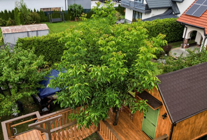 domek na drzewie 18 z placem zabaw (5).jpg