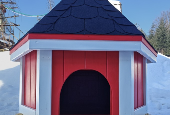 domek dla kaczek 04 kolorowy (18).jpg