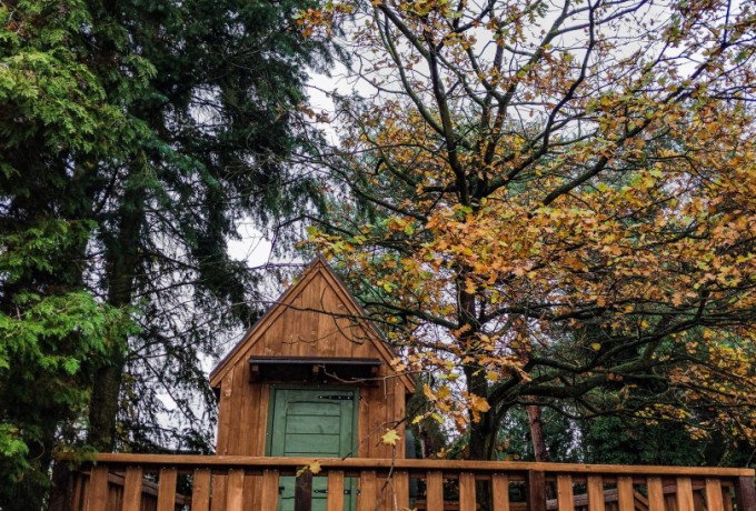 domek na drzewie 19 z okrągłym oknem (3).jpg