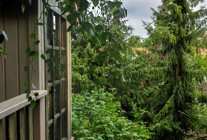 Domek na drzewie 07B (13).jpg