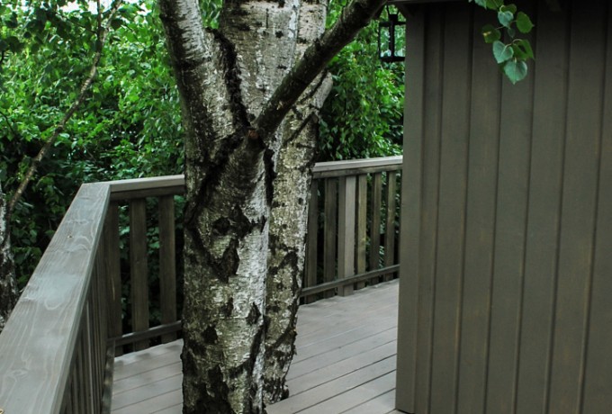 Domek na drzewie 07B (10).jpg