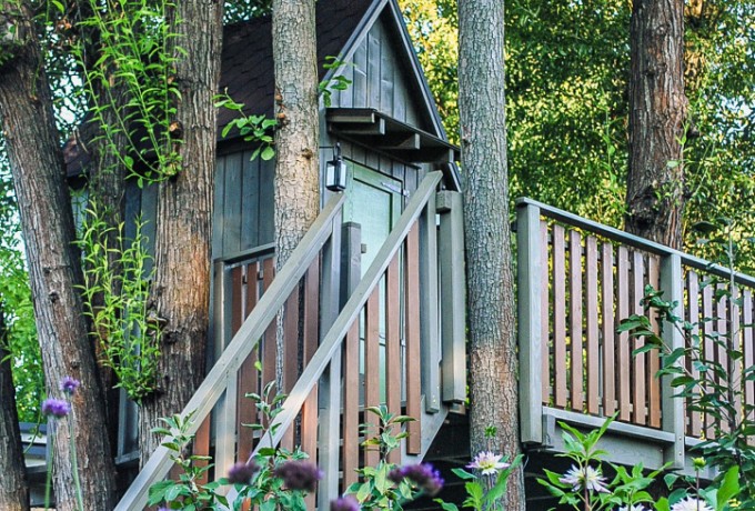 domek na drzewie 07 (26).jpg